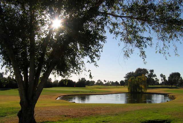 View of a green at Peoria Pines Golf Club