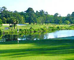 George Fazio at Palmetto Dunes