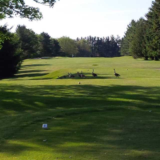 A view from a tee at Ingersoll Golf and Country Club
