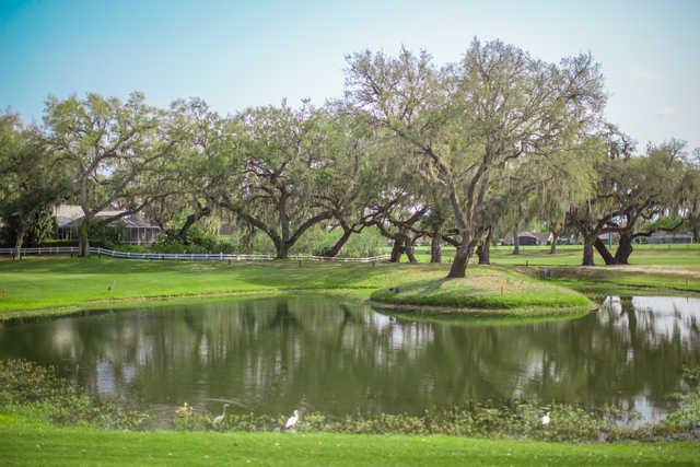 A view from Silverado Golf & Country Club