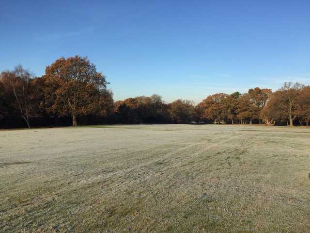 A view from Woodford Golf Club