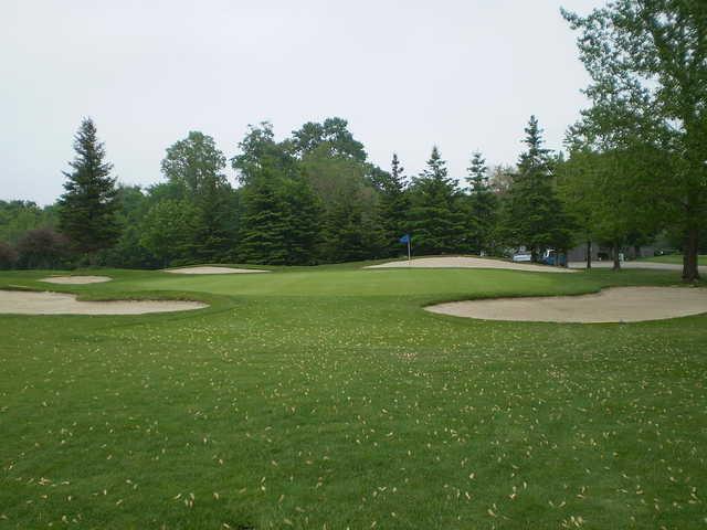 A view of a green surrounded by a collection of bunkers at Mitchell Golf and Country Club