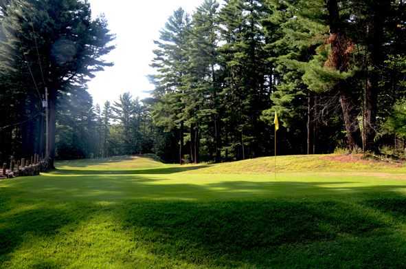 A view of a green surrounded by pine trees at Pine Lodge Golf Club