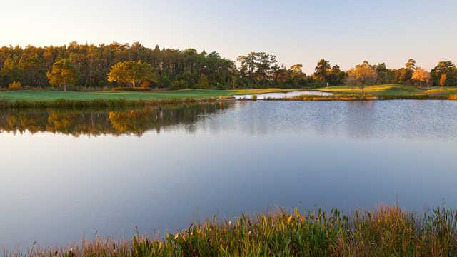 View of a green over water at Shingle Creek Golf Club
