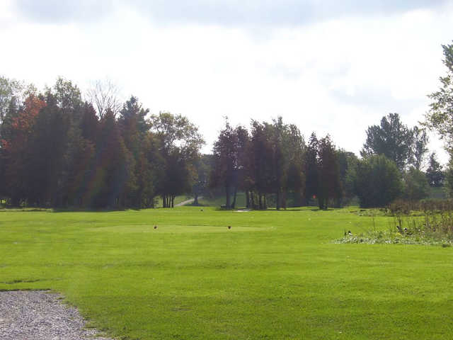 A view of a tee at Bushwood Golf Club