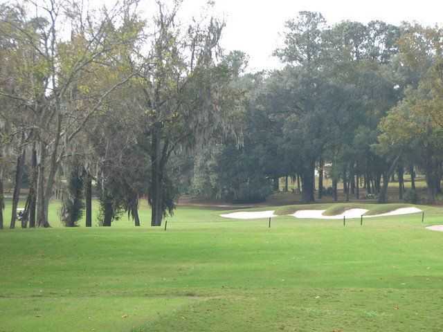 A view from Ocala National at Golden Hills