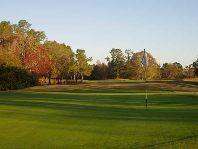 A view of a green at Forest Course from Eagles Golf Club