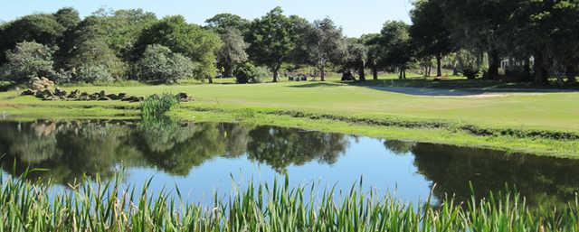 A view of the 15th green at Tomoka Oaks Golf & Country Club