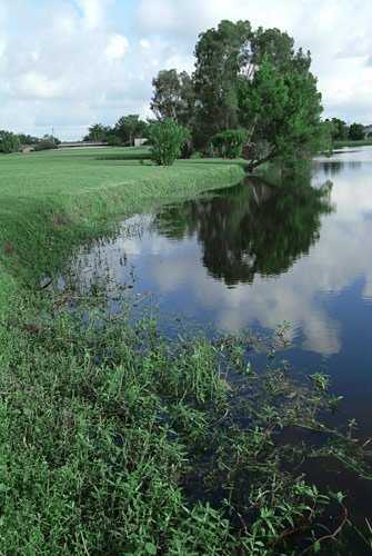 A view of hole #10 at Seminole Lake Country Club