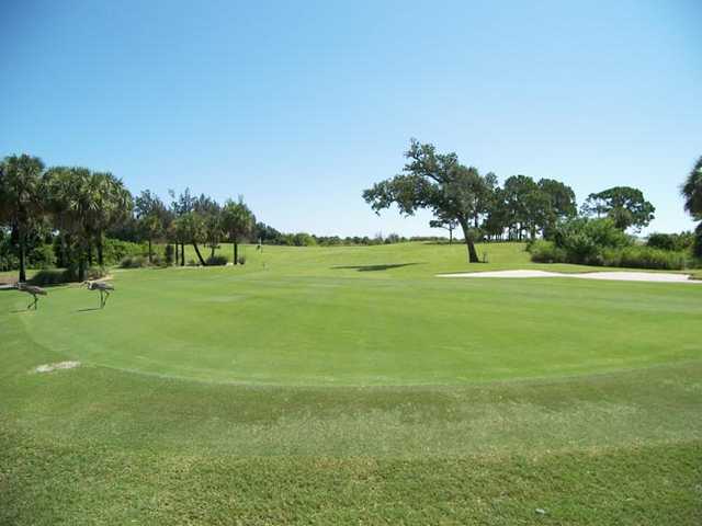 A view of the 18th hole with birds on the left at Sandridge Golf Club - Dunes Course
