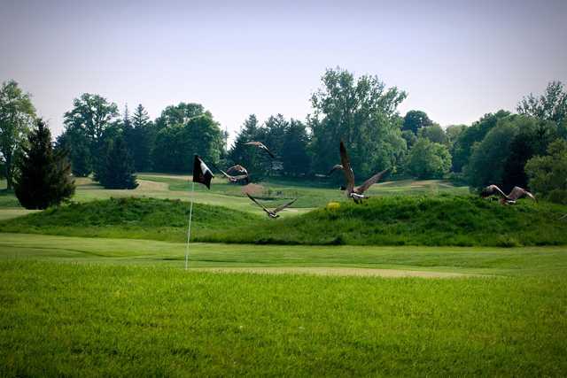 A view from Dorchester Golf Club