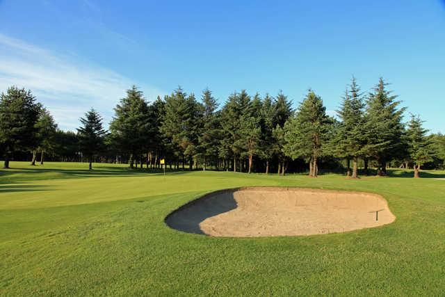 View of the 3rd green at Deer Park Golf and Country Club