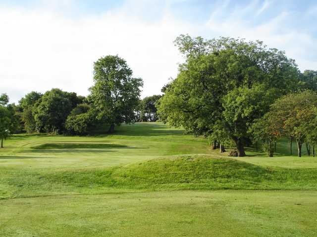A view from Linn Park Golf Club