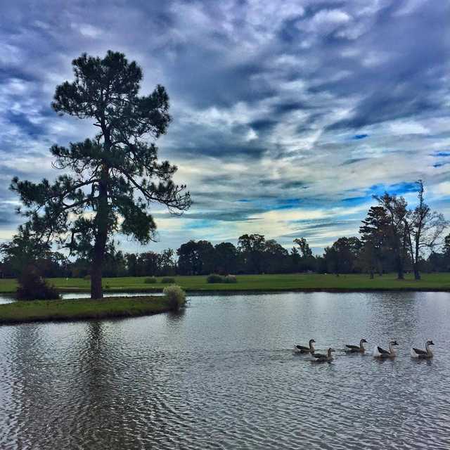 A view over the water from Longview Country Club.