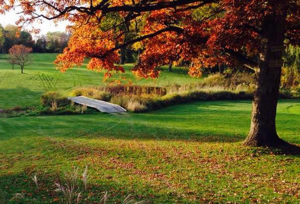 A fall day view from Lake Zurich Golf Club (Marna Niebergall de Rojas).