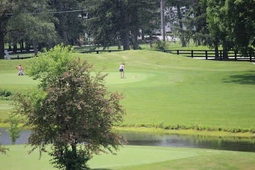 A view from Crooked Creek Golf Club.