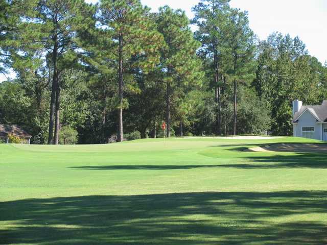A view of green at Wedgefield Plantation Golf Club