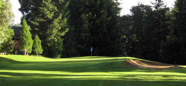 View of a green at Mace Meadow Golf Club