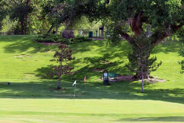 A view of a green at Civitan Golf Course.