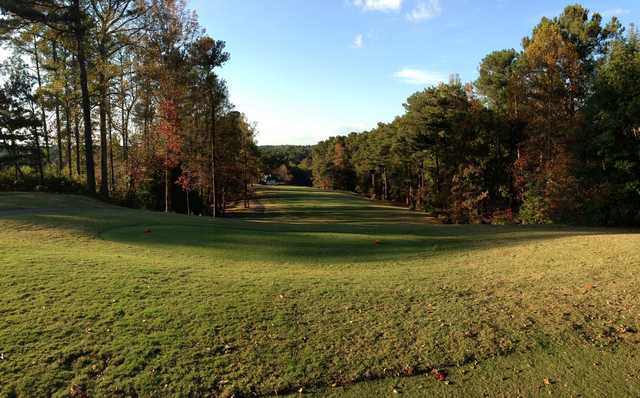 View from the 14th tee at Collins Hill Golf Club