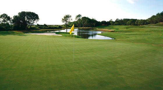 A view from The Currituck Club.