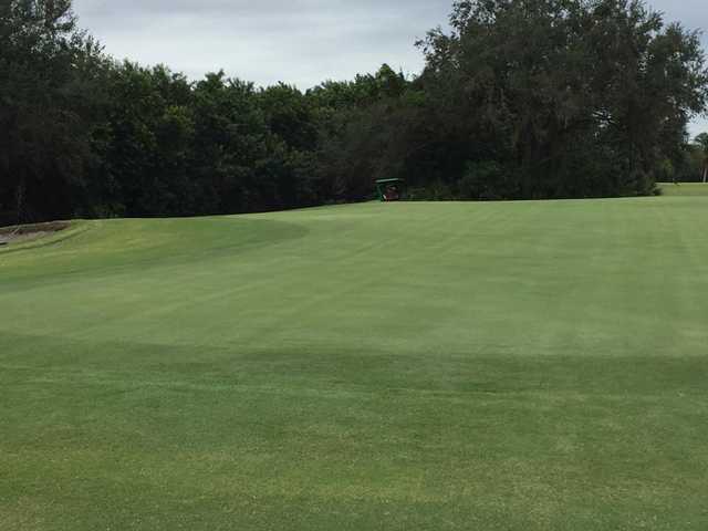 A view from Myakka Pines Golf Club.