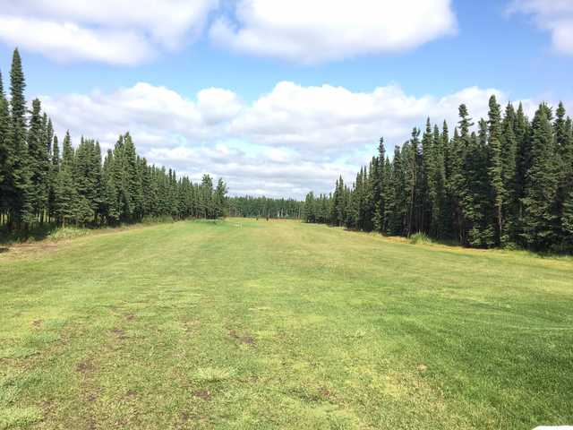 A view of a fairway at Bird Homestead Golf Course.