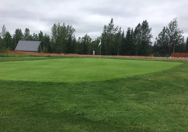 A view of a green at Bird Homestead Golf Course