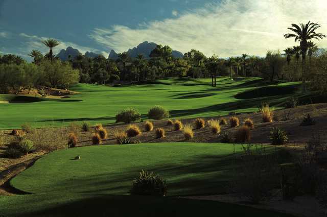 The Phoenician