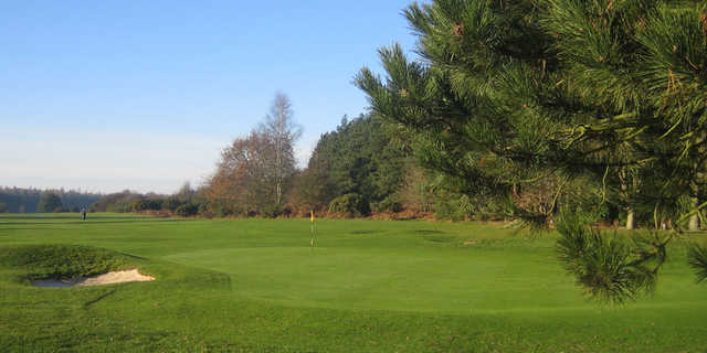 A view from Swaffham Golf Club