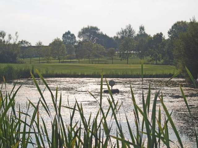 View of the 5th green at Long Sutton Golf Club