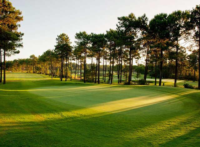 A view of a green at PGA Aroeira No. 2