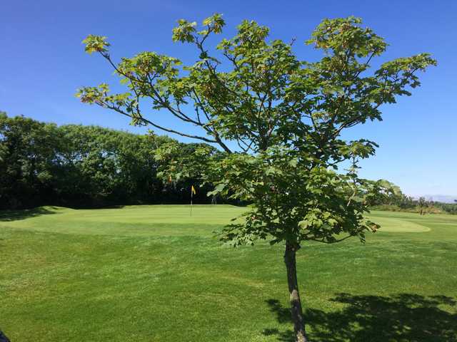A sunny day view of a hole at Donaghadee Golf Club.
