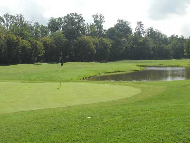 A view back to the fairway from behind the green #17 at Larkin Golf Club