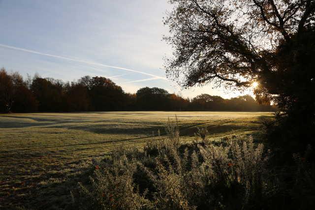 A view from Woodford Golf Club