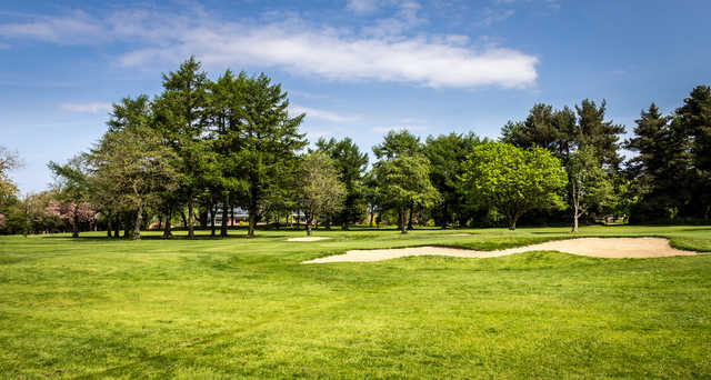 A view from Shandon Park Golf Club