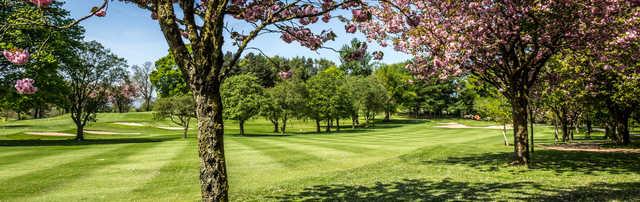 View of a green at Shandon Park Golf Club