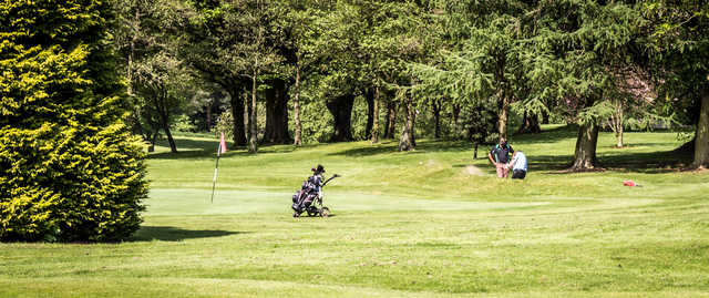 A view from Shandon Park Golf Club