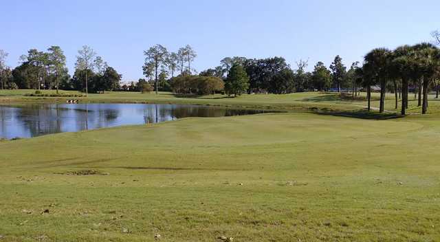A sunny day view from Ocala Golf Club.