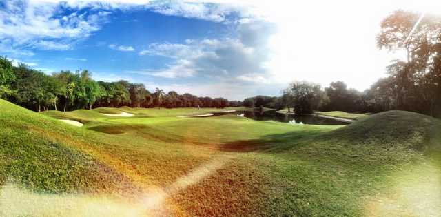 A sunny day view of a green at Hard Rock Golf Club Riviera Maya.