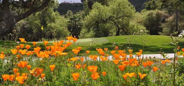 A view of a green surrounded by flowers at San Vicente Golf Resort.
