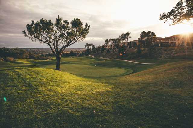 A sunny day view of a green at Arrowood Golf Course.