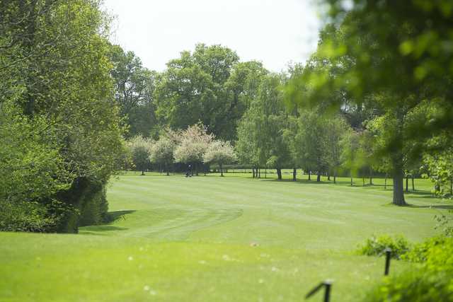 A view from Bramshaw Golf Club