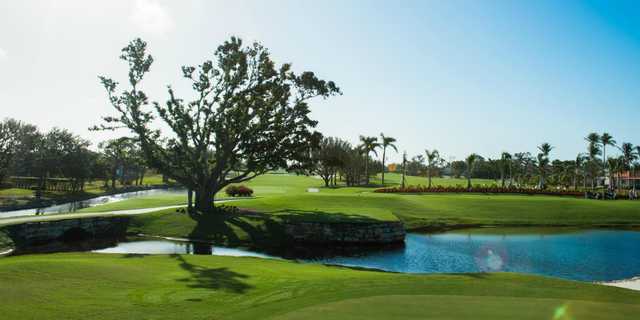 Island Country Club - Reviews & Course Info | GolfNow