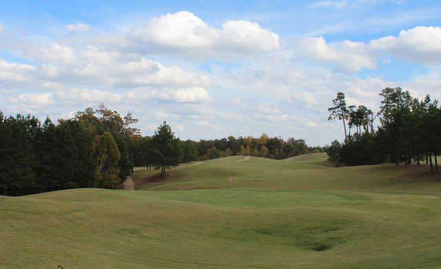 A view of a hole at Mallard Pointe Golf Course.