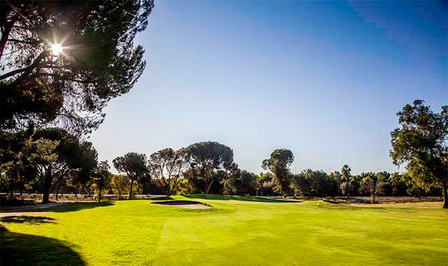 A sunny day view from a fairway at Encino from Sepulveda Golf Complex.
