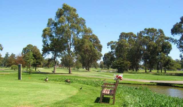 A view of tee #16 at The Earl Fry North Course from Corica Park.