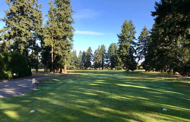 A view from a tee at Lake Spanaway Golf Course.