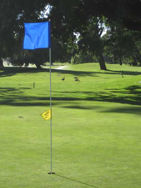 A view of green at Swenson Park Golf Course