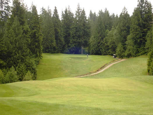 A view from Eighteen Pastures Golf Club